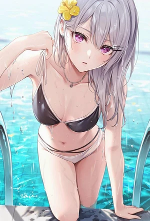 偷来的琴姐 封面