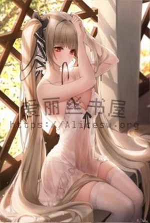 跟李姐操的过瘾 封面