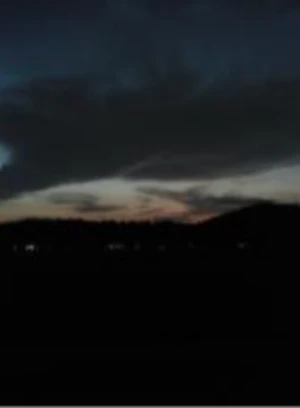 梅兰竹菊之危险的沙滩之旅 封面